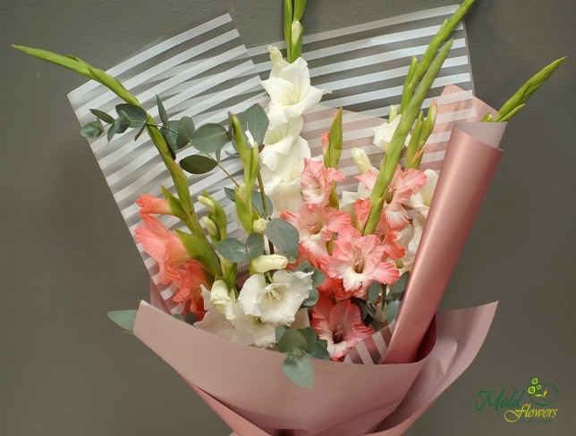 Bouquet of White and Pink Gladiolus photo